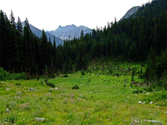 Big Meadow None